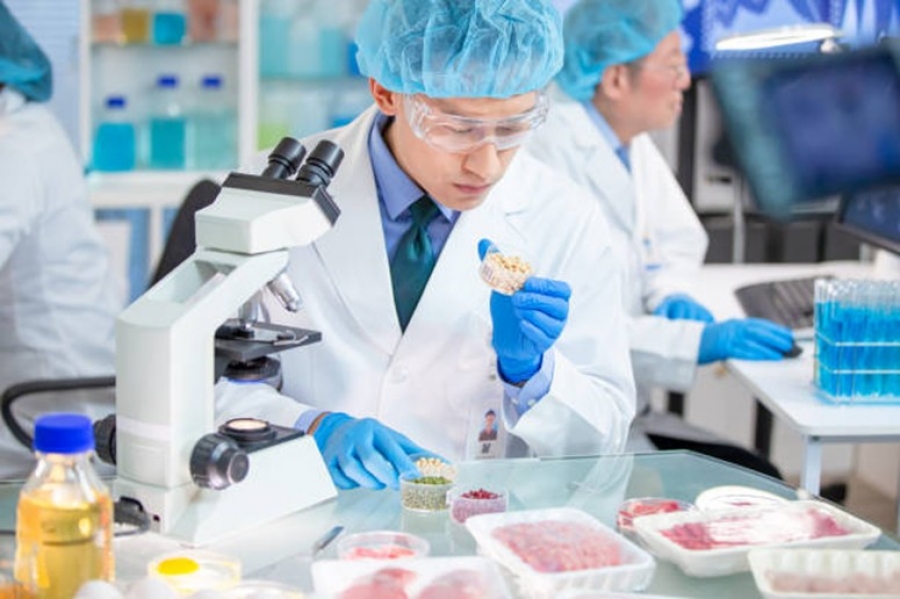 Lab-Grown Meat and Sugar Could Be Approved in the UK by 2026