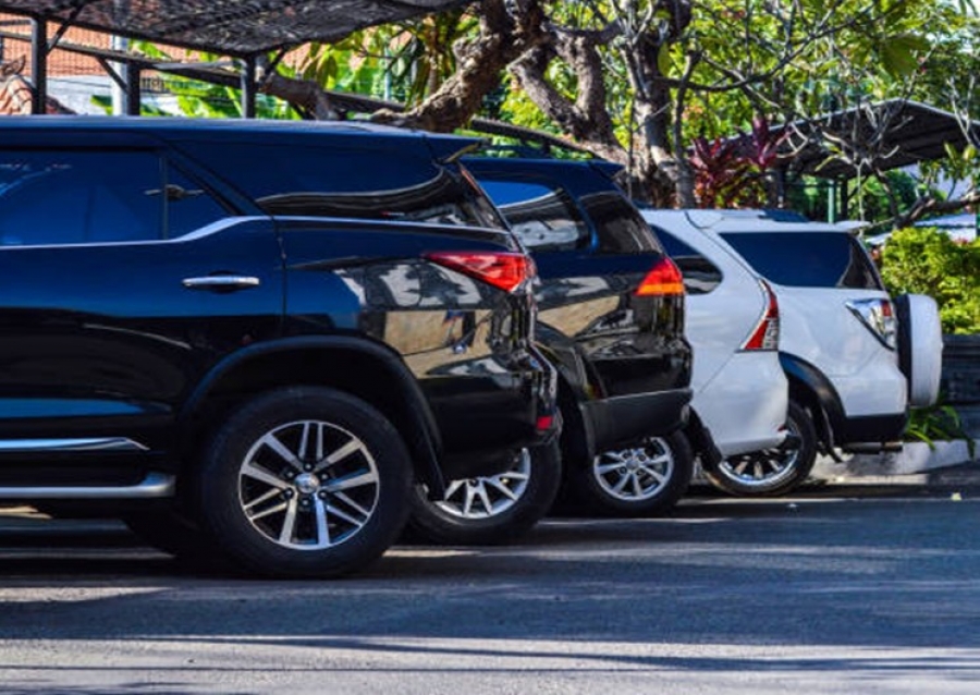 SUV Sales Surge Despite Push for Greener Transport